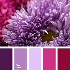 Purple is a mixture of blue and red and, thus, sits between the two in the color wheel. Pink And Purple Color Palette Ideas