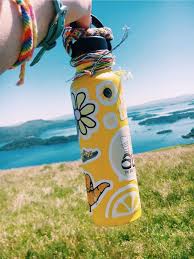 Vsco Lilyyholmes Hydro Flask Bottle Cute Water Bottles Hydro Flask Water Bottle