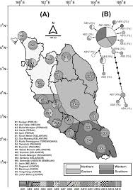 Biri olmanın çoğu dinamik oynatıcı sektöründe ticaret, biz kaynak ürünlerimizin çoğu özellikle çin ve malezya dan. New Insights Into The Haplotype Diversity Of The Cosmopolitan Cat Flea Ctenocephalides Felis Siphonaptera Pulicidae Sciencedirect
