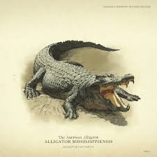 Rdr2 Animal Artwork Red Dead Redemption Art Animals Artwork Red Dead Redemption