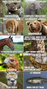 Funny Sealy Animal Pun Memes Photos Koala Lion Bear Horse Hawk Giraffe Alpaca Minnow Funny Animal Jokes Animal Jokes Funny Animals