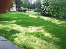 Check spelling or type a new query. 15 Best Crabgrass Killer Preventers For Lawns 2021