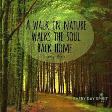 Living From Peace And Joy Take A Walk Love Nature Quotes Nature Quotes Nature Quotes Inspirational