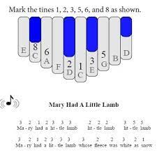 Explore the world of kalimba. Ez Numbers Based Ebook For Almost Any Kalimba Blog Item News And Announcements Kalimba Magic