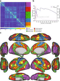 Maybe you would like to learn more about one of these? Determining The Hierarchical Architecture Of The Human Brain Using Subject Level Clustering Of Functional Networks Scientific Reports