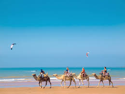 Response from stephanie d, essaouira at cheval essaouira. The Best Beaches In Morocco