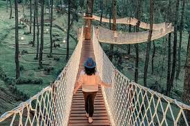 Selain berbagai bangunan untuk aktivitas perkuliahan, kampus unpad juga memiliki kolam yang cukup besar di sekitar arboretum. Tempat Wisata Paling Ramai Di Bandung Saat Akhir Tahun