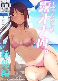 エッチ スケッチ 露 オナ 内