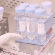 Coronavirus Covid 19 Vaccine Update Latest Developments Pfpfizeruscom