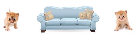 Darum, wenn es in der farbe braun ist natürlich, werfen diese bunte kissen darauf, mit der absicht, ein fröhliches ambiente zu schaffen. Urin Auf Sofa Entfernen Biodor Animal