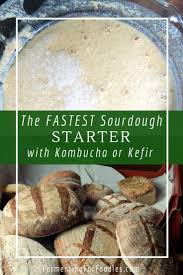Quick And Easy Sourdough Starter Fermenting For Foodies Recipe Kefir Recipes Sourdough Starter Fermented Bread