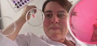 healing, one cell at a time