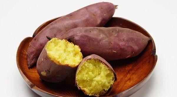 Những đại kỵ khi ăn khoai lang cần biết để tránh - Đài PTTH Nghệ An