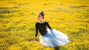 Check spelling or type a new query. Girl Model Is Posing For A Wearing Black White Dress Sitting In The Middle Of Yellow Flowers Field Girls Hd Wallpaper Peakpx