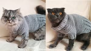 Kedi Ve Kopeklerimize Bogazli Ve Patili Kiyafet Orelim Youtube