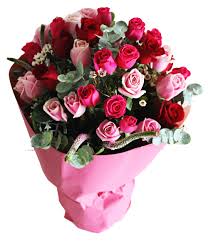The symbolic meaning of pink roses also changes depending on the shade. 36 Red Pink Roses