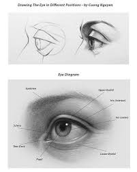 For People Who Love To Draw Eye Classicalart Eye Eyediagram Howtodraw Howto Drawing Graphite Graphitedrawi Eye Drawing Tutorials Eye Drawing Drawings