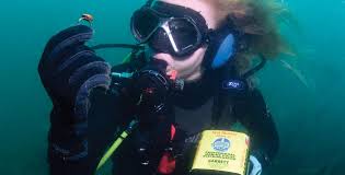 Top features of the garrett sea hunter metal detector include its neutral buoyancy for use on the sea floor, compact design for ease of use and completely waterproof with submersible earphones. Sea Hunter Mark Ii Metalldetektor Garrett Metal Detectors