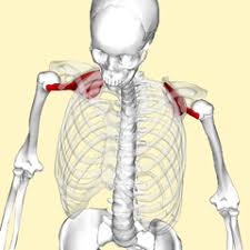 تصویر مرتبط