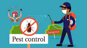 Prepare for cockroach control service, either professional or diy, by following these twelve steps. 100 Best Pest Control Services For Lizard In Dehradun Uttarakhand Nearmetrade