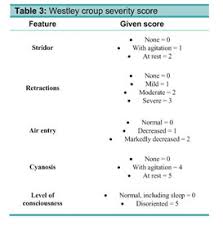 Image result for Croup Score