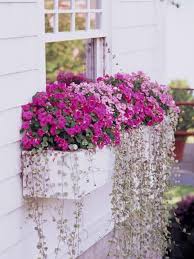 Find the perfect patio furniture & backyard decor at hayneedle, where you can buy online while you explore our room designs and curated looks for tips, ideas & inspiration to help you. 20 Window Planter Boxes For Maximize Your Outdoor Spaces Homemydesign