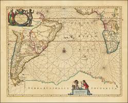 Image result for Maerua aethiopica