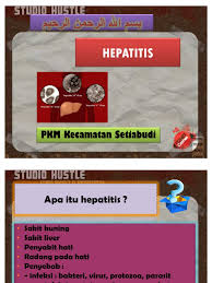Fungsi hati yang penting untuk metabolisme. Penyuluhan Hepatitis