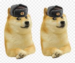 We have all kind of doge and cheems template that u can use. Doge Meme Template Png Transparent Png Vhv