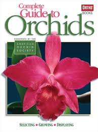If you need help alphabetizing a list for homework, for business, tech works, or you're learning to alpabetize in microsoft word or excel, you've come to the right place! The 16 Best Orchid Books For Real Orchid Lovers 2021