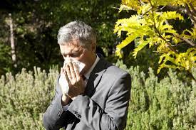 Pollen Allergy Types Treatments And Home Remedies