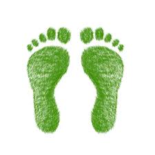 Jump to navigationjump to search. The Ecological Footprint Challenge Dr Sharon Deem