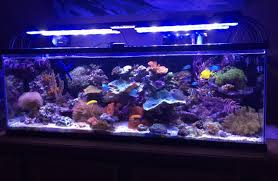 Aquarium Lighting Information Guide Reef Planted Par Pur Pas