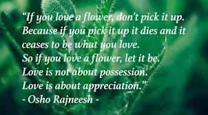 And if you're looking for all the love quotes see the happy wedding anniversary quotes for. Osho Rajneesh S Quote If You Love A Flower Wisdom S Webzine Wisdom S Webzine