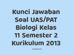 Mulai dari sel, sistem gerak, sistem peredaran darah. Kunci Jawaban Soal Uas Pat Biologi Kelas 11 Semester 2 Kurikulum 2013 Halaman 1 30 Laluahmad Com