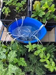 When to water garden vegetables. 15 Different Diy Irrigation Systems To Suit Every Plant In 2021 Irrigation System Diy Plant Watering System Garden Watering System