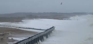 Nsf international protects and improves global human health. Pcdl Pevensey Coastal Defence Ltd