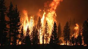 9 hours ago · markleeville (cbs sf) — a determined band of firefighters battled the advancing flames of the raging tamarack fire early sunday, keeping the blaze for entering the heart of the evacuated sierra community of markleeville as the wildfire exploded in growth to more than 21,000 acres. Relgual2b Wnem