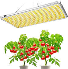 Shop with afterpay on eligible items. Buy Grow Light For Indoor Plants Full Spectrum Bozily 300w Seedling Led Grow Lights Sunlike Plant Grow Light Fixture Plant Growing Lamps For Seedlings Succulents Hydroponic Veg And Bloom Online In Vietnam
