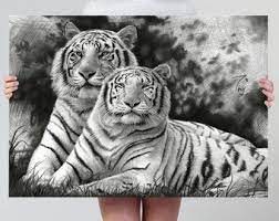 Native American Print Native American Pencil Drawing Print Etsy White Tiger Tiger Art Posters Art Prints