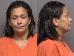 Saline County Booking Activity, July 27