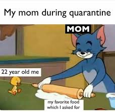 I never got tired of tom and jerry, but i did have a dream of doing more with my life than making cartoons. Pin By Chandni Sahu On Most Hilarious Memes Most Hilarious Memes Funny School Jokes Fun Quotes Funny