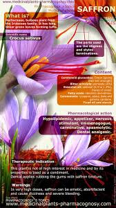 Saffron Flowers Benefits Saffron Benefits Medicinal Plants Saffron Plant