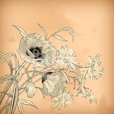 Dibujos de orquídeas a lápiz. Acuarela Lapiz Mano Dibujo Flores Vectores En Stock Freeimages Com