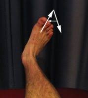 This exercise will help to increase your range of motion (rom). Ankle Stretches Ankle Flexibility Exercises Physioadvisor