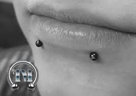 Snake bite lip piercing originated from some african cultures and aboriginal tribes of australia. Snake Bites Labrets Piercer Munchen Tempel Piercingstudio Tempel Munchen Piercing Tattoo