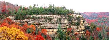 Some nestled on the edge of a pond, tucked into the forest or overlooking a magnificent mountain valley. Natural Bridge State Resort Park Outdoorsy