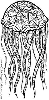 Animal Coloring Page 78 Animal Coloring Pages Coloring Pages Coloring Books