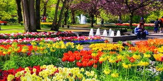 These tulip fields in the netherlands are open for visitors only for around 60 days every year. Why You Should Head To See The Tulips Of Keukenhof