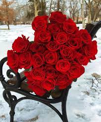 Istochnik Idej I Vdohnoveniya Beautiful Red Roses Beautiful Rose Flowers Red Roses
